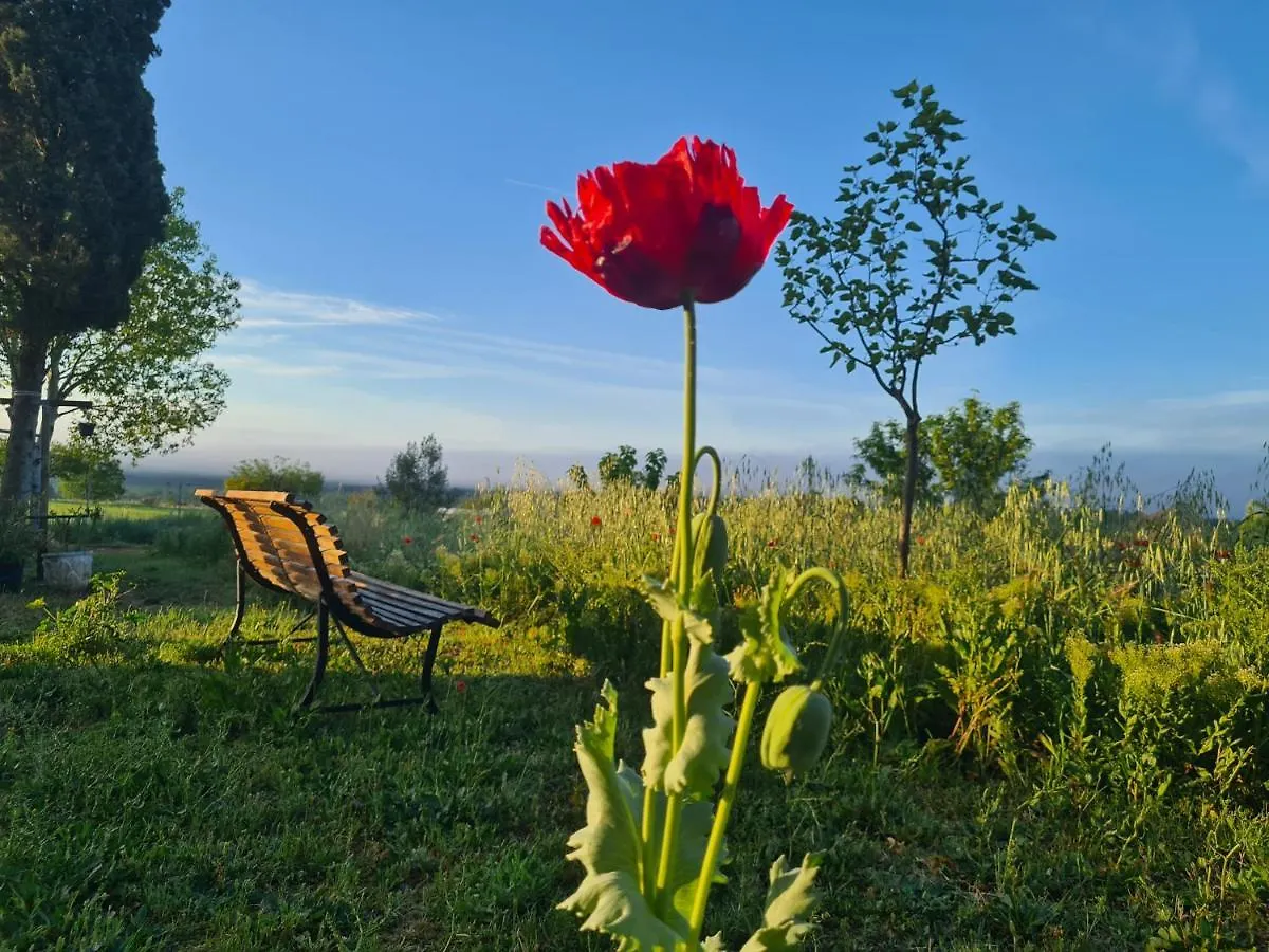 Villa La Ferme Constantin Fayence Bauernhof
