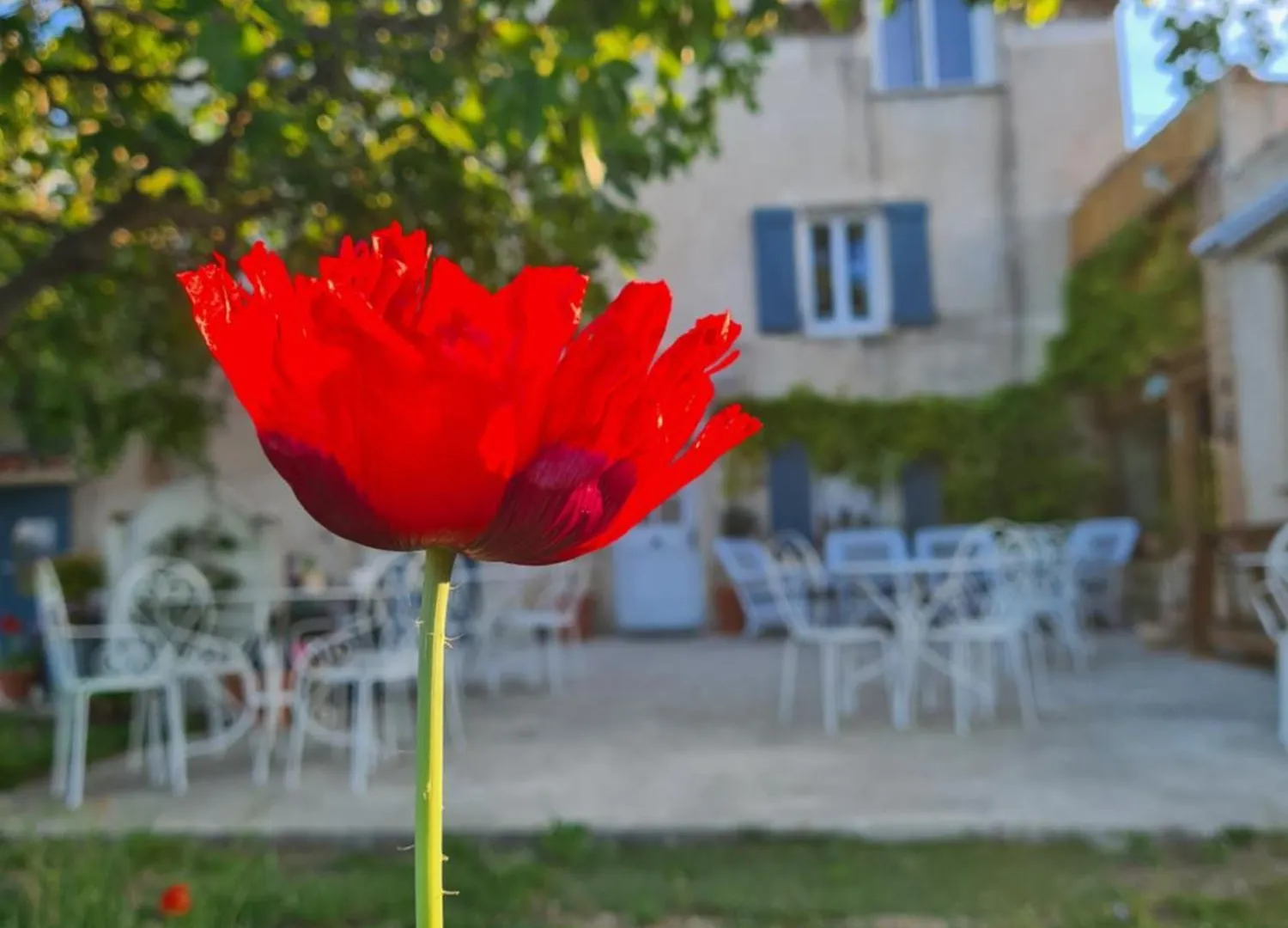 La Ferme Constantin Guest House Fayence
