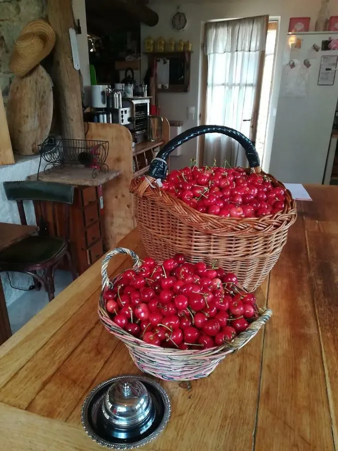 La Ferme Constantin Guest House Fayence Country house